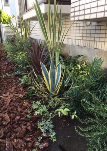 マンションの植栽