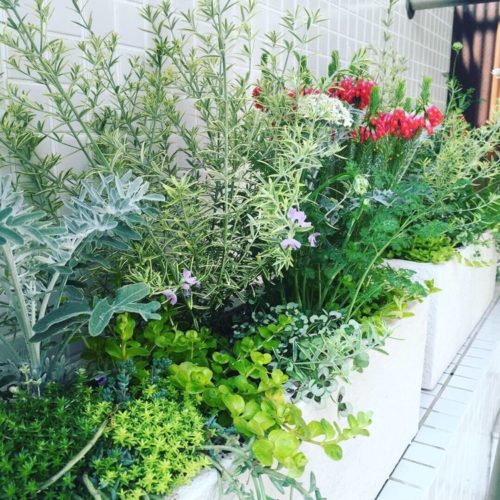 ガーデンコーディネート