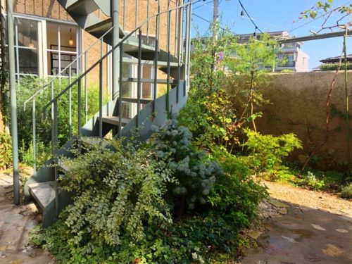 コミュニティアパートメントの中庭